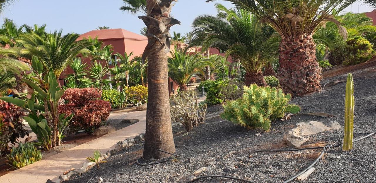 Appartement Tamarindo I Piscinas De Agua Salada Corralejo